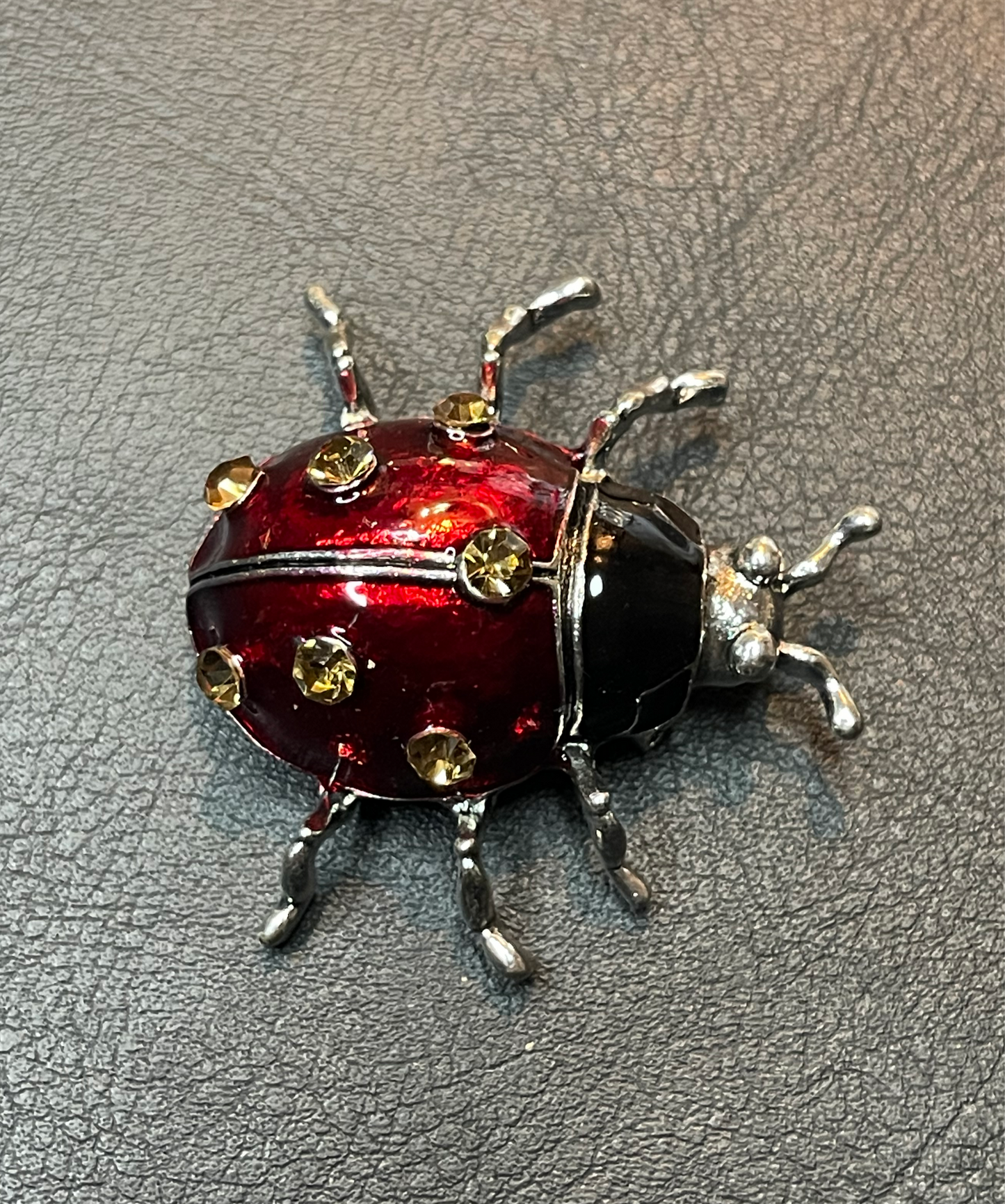 Broche Mariquita